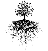my-root